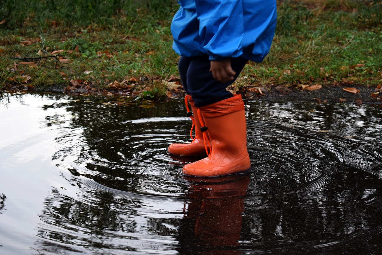 The Science of Predictive Analytics in Weather Forecasting